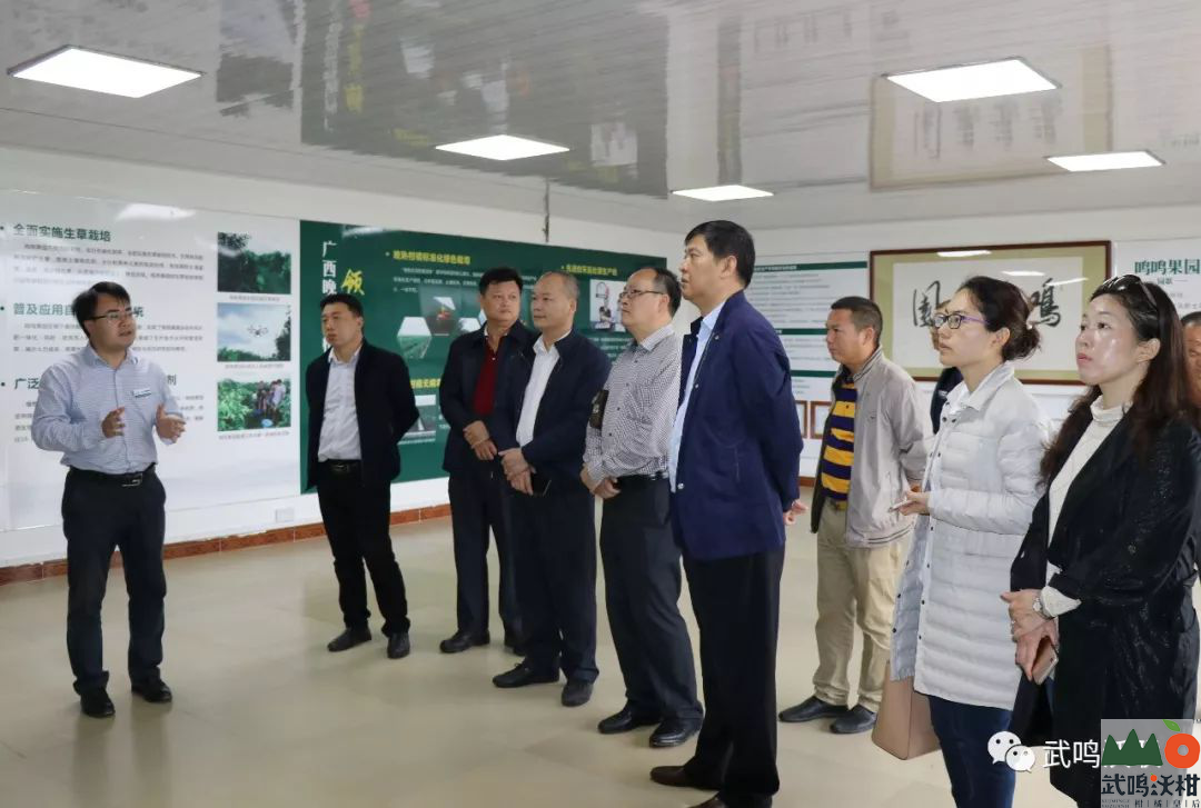 刘海涛、杨力、吴德志一行参观鸣鸣果园展览厅