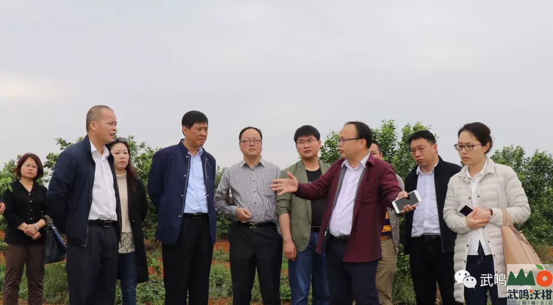 刘海涛、杨力、吴德志一行参观起凤生态循环农业示范区