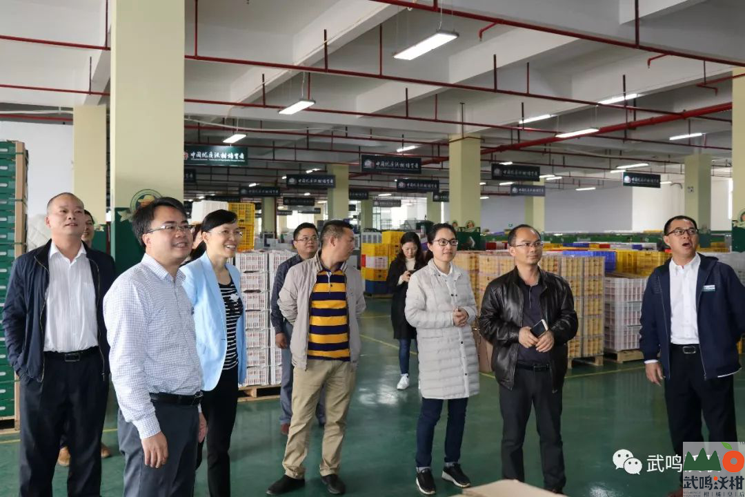 刘海涛、杨力、吴德志一行在武鸣区区委副书记吴秀红（左三）陪同下参观鸣鸣果园采后处理中心