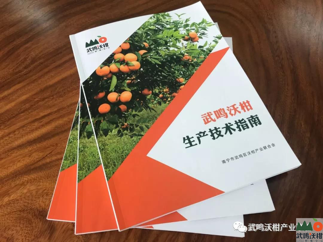 武鸣沃柑生产技术指南