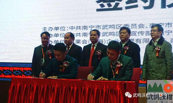 沃柑生产基地与采购商签约