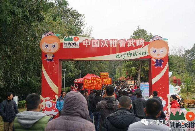 沃柑展示一条街
