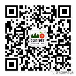 武鸣沃联