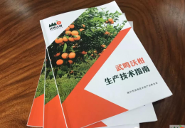 武鸣沃联举办2018年上半年沃柑生产技术培训班