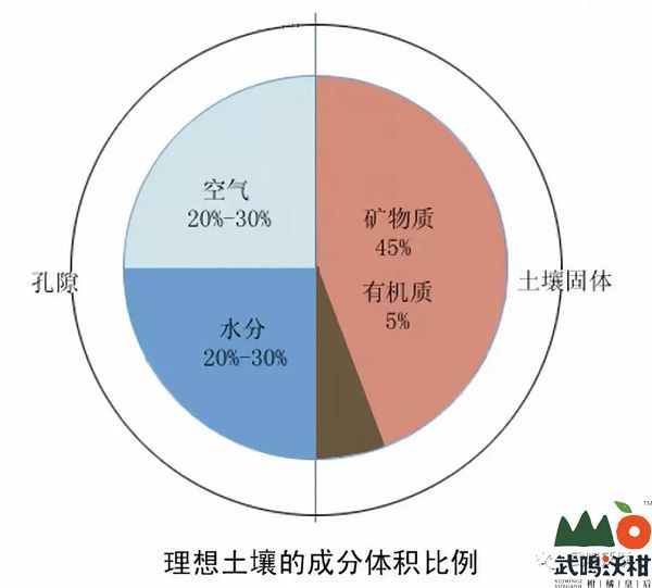 土壤由固体、空气和水分所组成