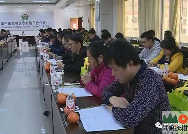 武鸣沃柑产业高质量发展座谈会